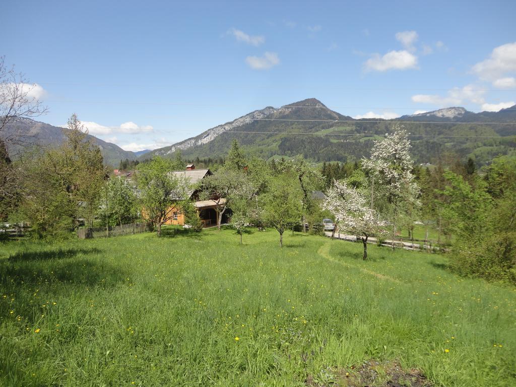 באד גויסרן Chalet Ramsau 8 מראה חיצוני תמונה