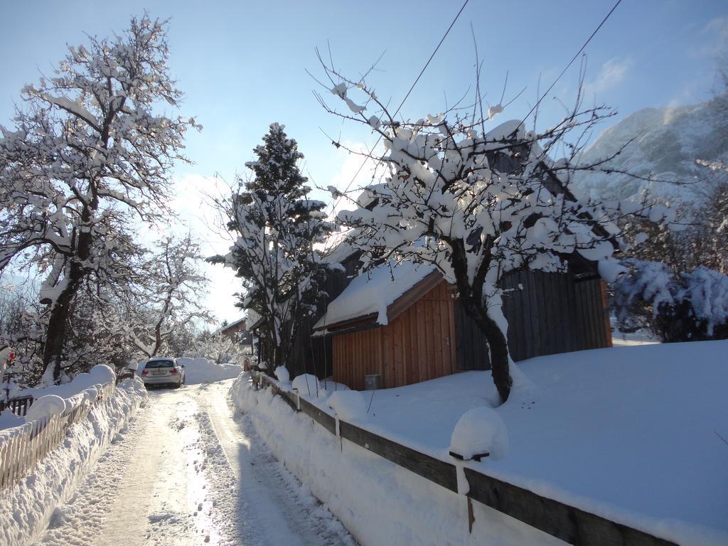 באד גויסרן Chalet Ramsau 8 מראה חיצוני תמונה