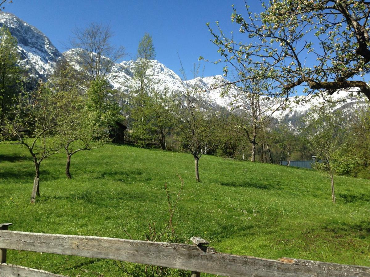 באד גויסרן Chalet Ramsau 8 מראה חיצוני תמונה